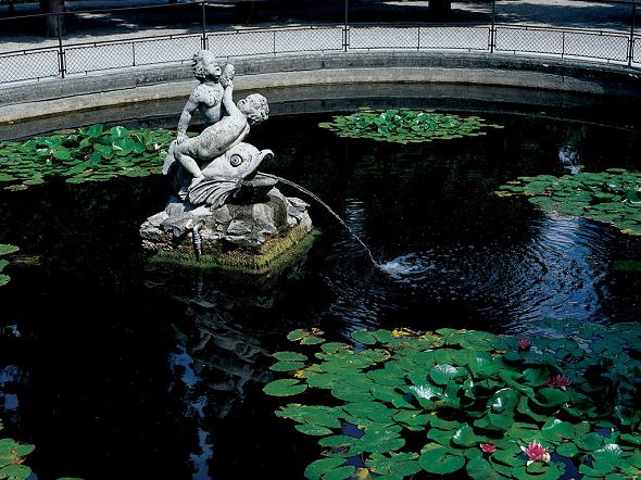 Photo (Schlo&szlig; Sch&ouml;nbrunn)