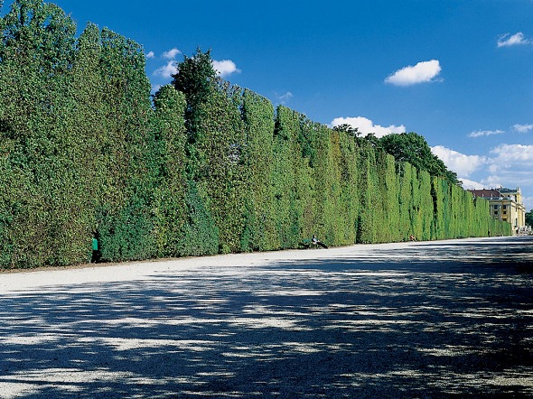 Photo (Schlo&szlig; Sch&ouml;nbrunn)