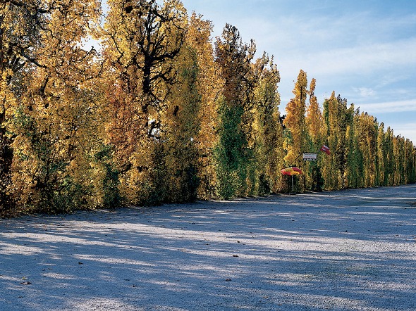Photo (Schlo&szlig; Sch&ouml;nbrunn)