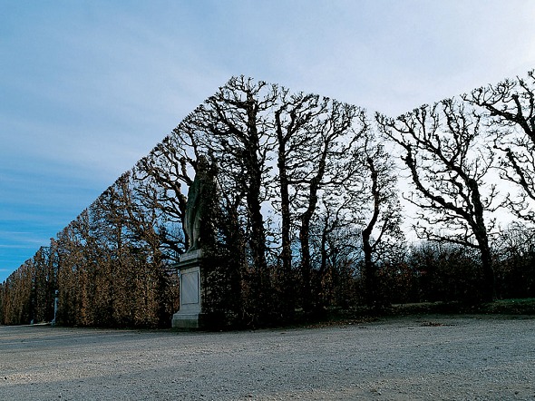 Photo (Schlo&szlig; Sch&ouml;nbrunn)