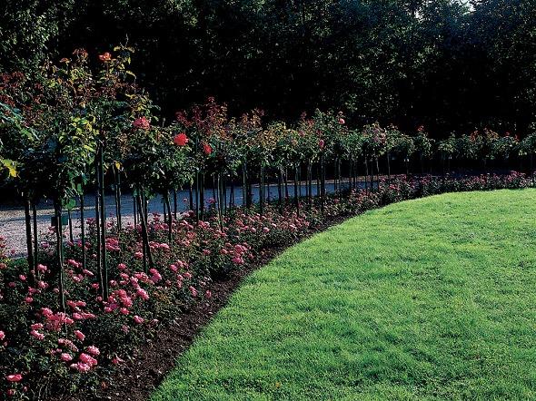 Photo (Schlo&szlig; Sch&ouml;nbrunn)