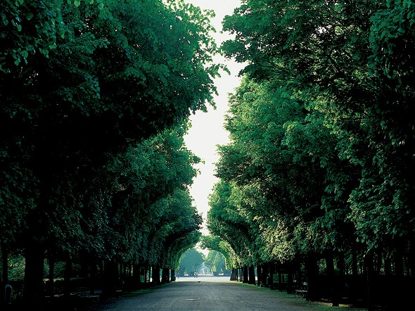 Photo (Schlo&szlig; Sch&ouml;nbrunn)