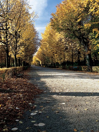 Photo (Schlo&szlig; Sch&ouml;nbrunn)