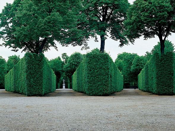 Photo (Schlo&szlig; Sch&ouml;nbrunn)