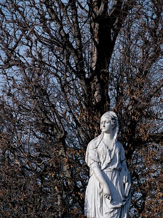 Photo (Schlo&szlig; Sch&ouml;nbrunn)