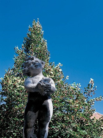 Photo (Schlo&szlig; Sch&ouml;nbrunn)