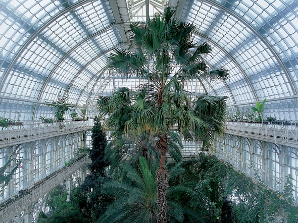 Photo (Schlo&szlig; Sch&ouml;nbrunn)